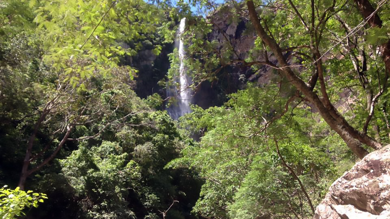 Vista da cachoeira do label pela trilha no fundo das árvores