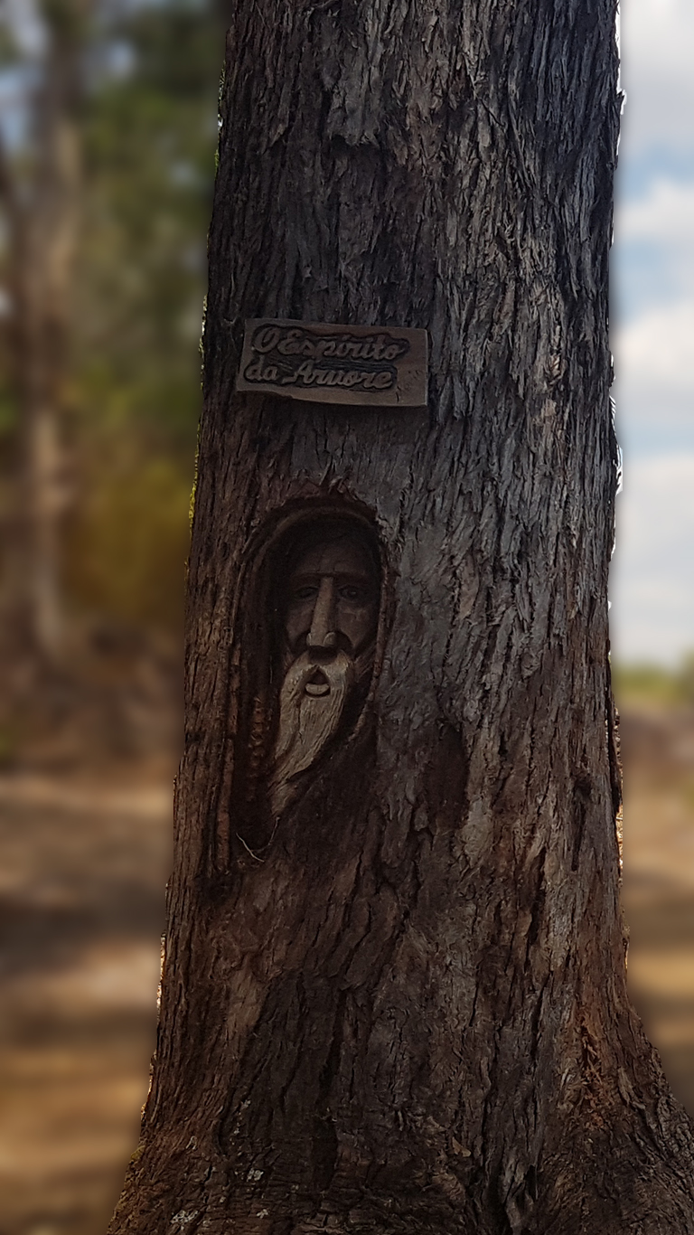 Escultura de rosto de um mago feita em eucalipto denominada espírito da floresta