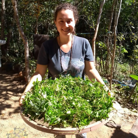 A enfermeira Gabriela preparando mais um chá de enema do cerrado com todas as ervas nativas necessárias
